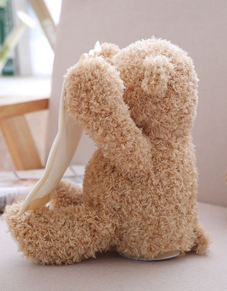 Cute Hide and Seek Peek-A-Boo Singing Teddy Bear
