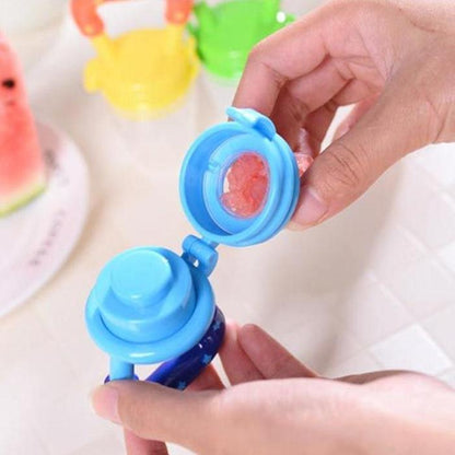 Silicone Baby Fruit Feeder & Teether