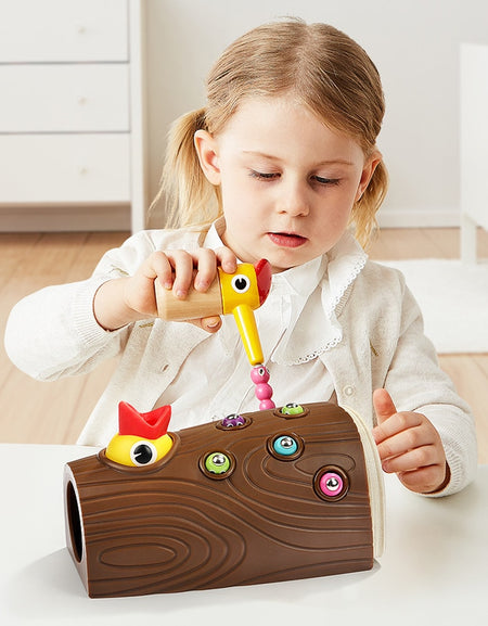 Bird Worms Feeding Magnetic Woodpecker Toy